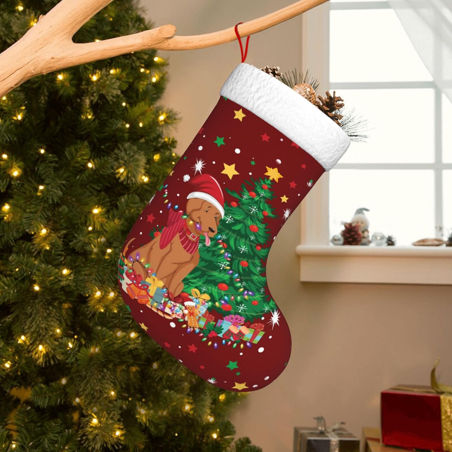 Christmas Dog Light Design 17. - Christmas Stocking Hanging ulasan dan harga